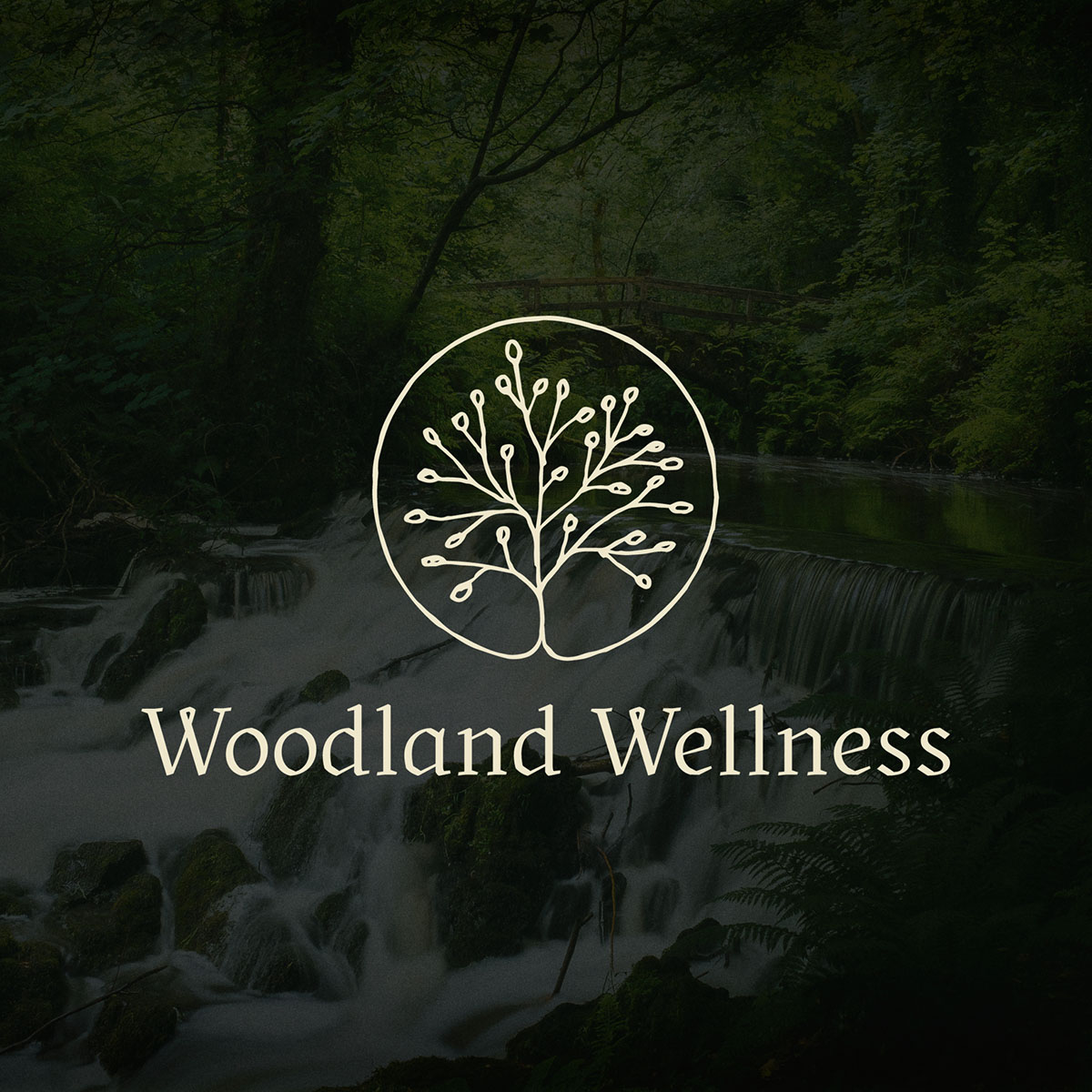Woodland Wellness Logo Design